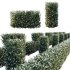 ntal shrubs that capture the natural charm and density of this iconic Australian plant. Perfectly suited for realistic landscape and architectural rendering. - Thumbnail 3