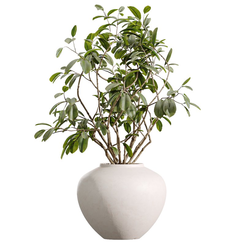 AV Indoor Plants Set 388 - Image 4