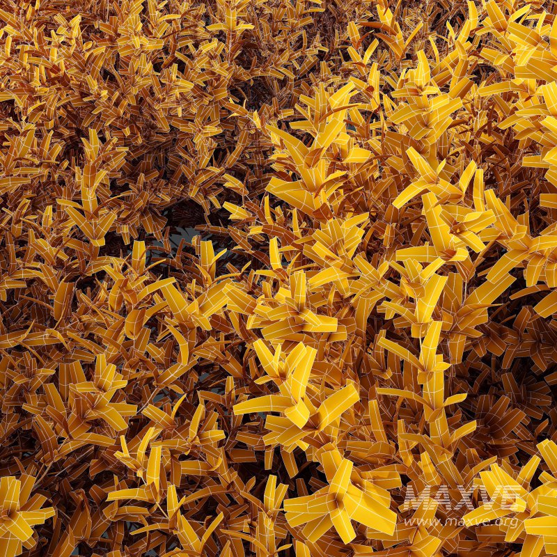 ntal evergreen shrubs, designed with exceptional precision for architectural visualization and landscape rendering. - Image 7