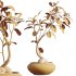 AV Indoor Plants Set 384 Ficus Robusta Abidjan and Ficus Dracaena Marginata - Thumbnail 12