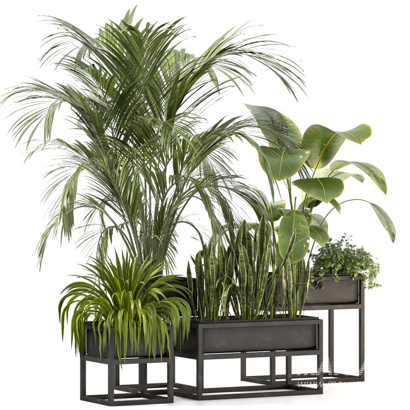 Metal plant set 07 - Image 3