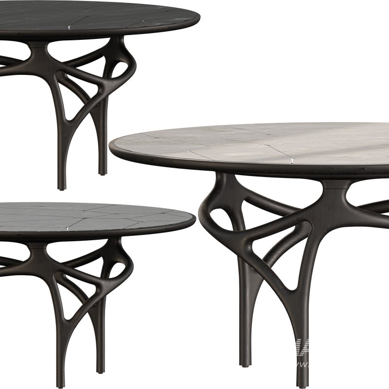 Cena dining table - Image 1