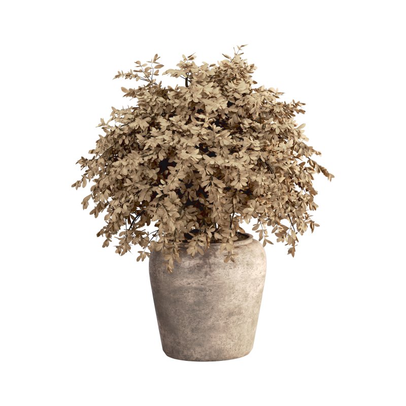 Indoor Plant Set 029 - Image 4