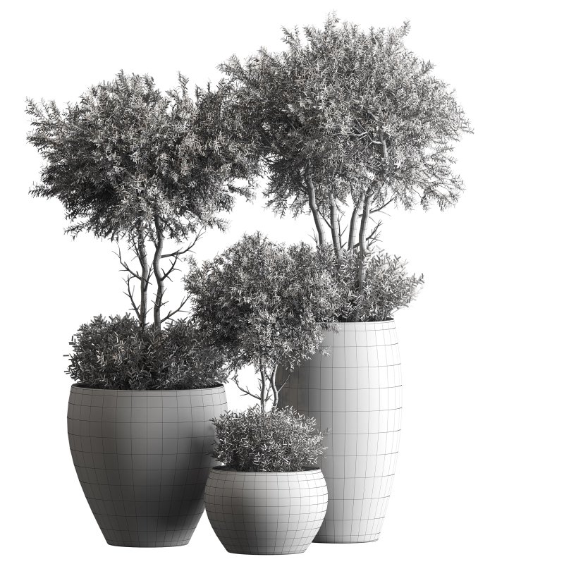 Indoor plant 074 - Image 5