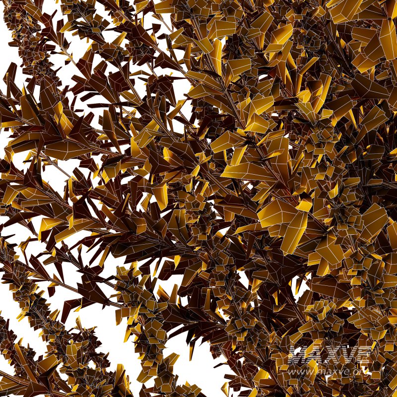 Leucophyllum frutescens Bush 04 - Image 6