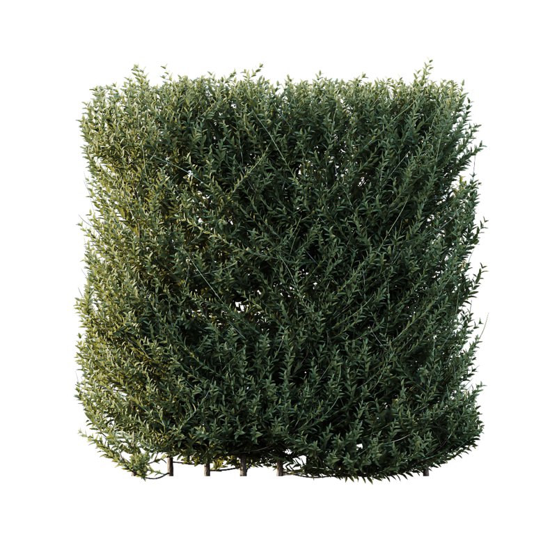 ntal evergreen shrubs, designed with exceptional precision for architectural visualization and landscape rendering. - Image 4