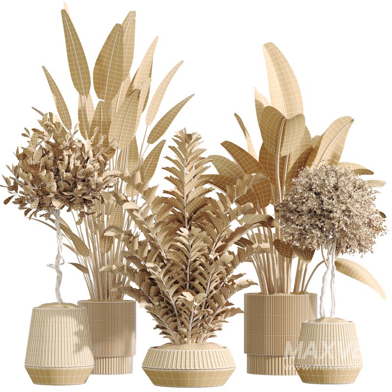 AV Indoor Plants Set 370 ParadiseBird and Zamiifolia and Ficus Microcarpa and olive - Image 6