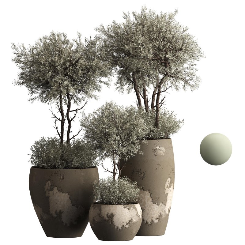 Indoor plant 074 - Image 4