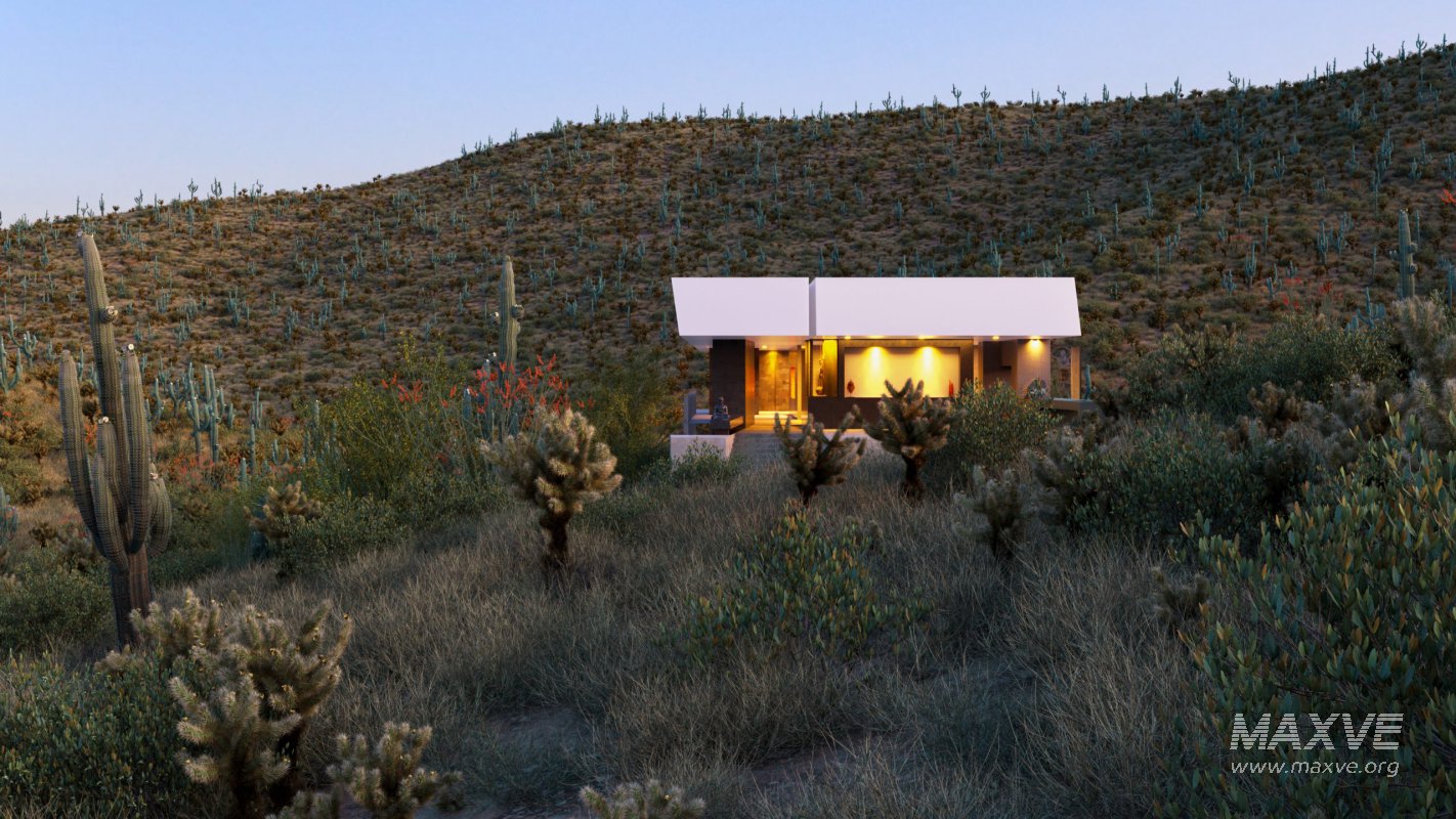 Collection 23 – Mexican Plants - Image 2