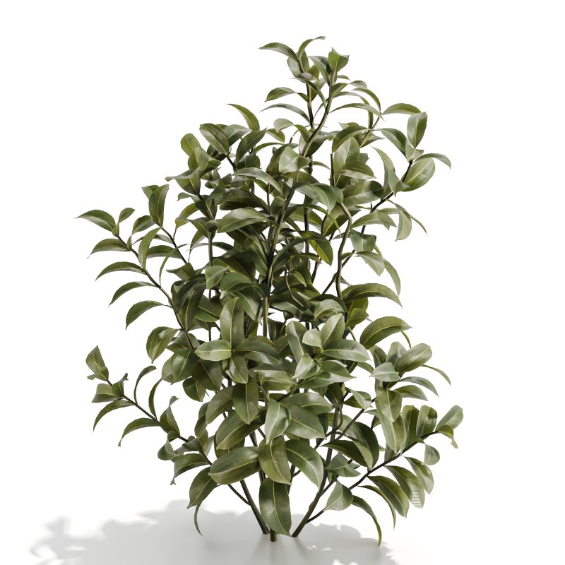 Purple Phlox Bush Arrangement - Image 5