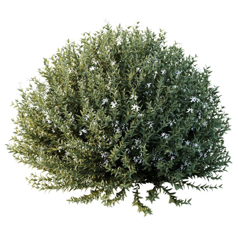 ntal shrubs designed for realistic landscape and architectural visualization. - Image 2