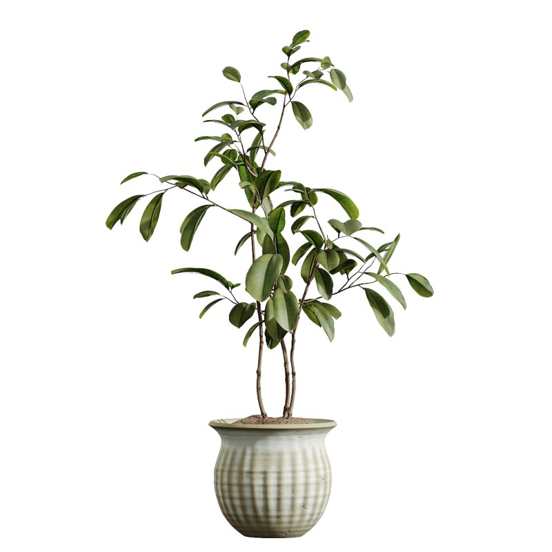 AV Indoor Plants Set 392 - Image 8