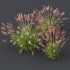 ntal fountain grass, designed for realistic exterior and landscape visualizations. - Thumbnail 7