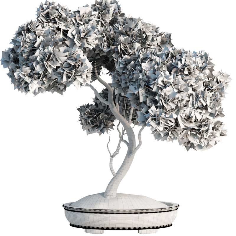 Bonsai Tree set8 - Image 2