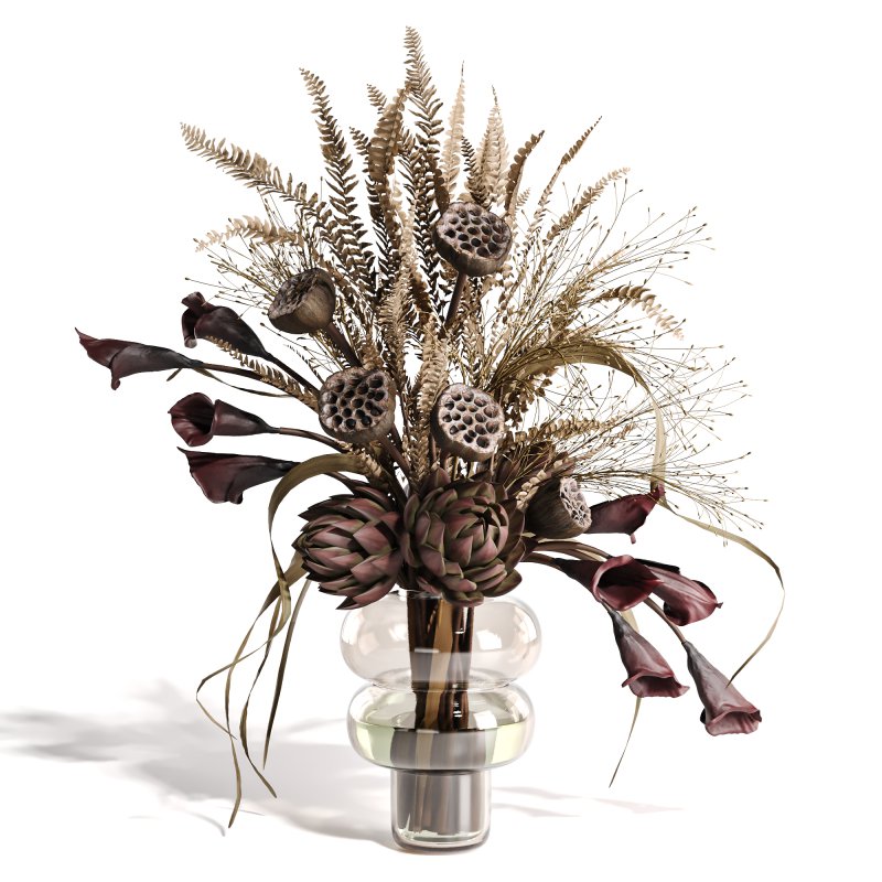 Lotus and Artichoke Dried Set47 - Image 1