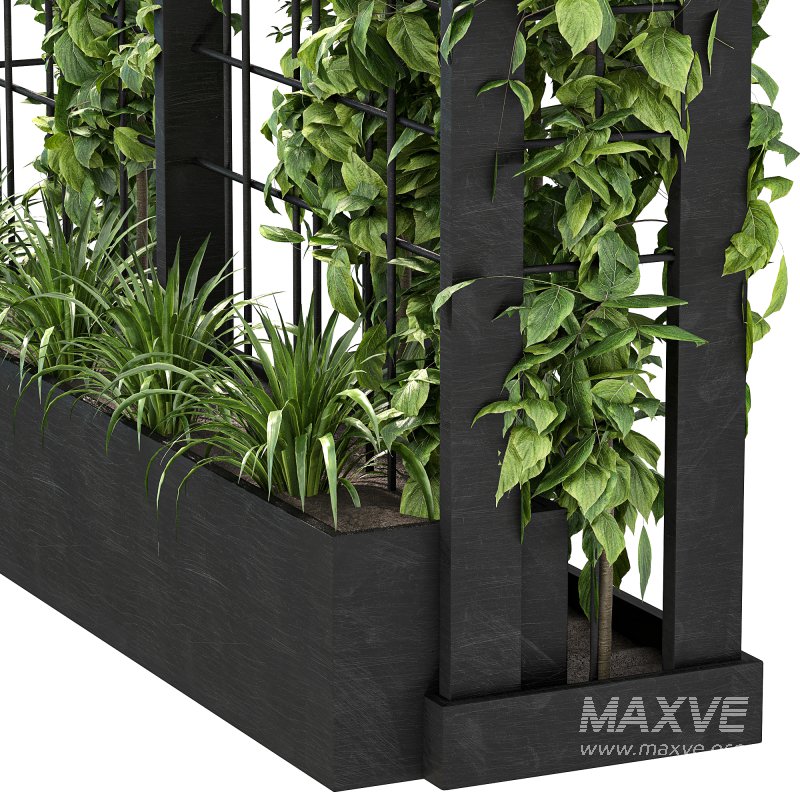 Vertical Garden Trellis 02 - Image 2
