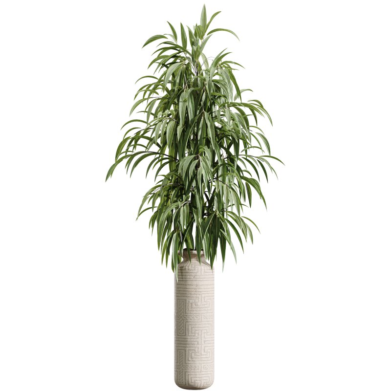 AV Indoor Plants Set 393 Spathiphyllum Wallisii and Ficus Binnendijki and Schefflera Arboricola and Japandi Decorative - Image 4