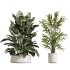AV Indoor Plants Set 388 - Thumbnail 6