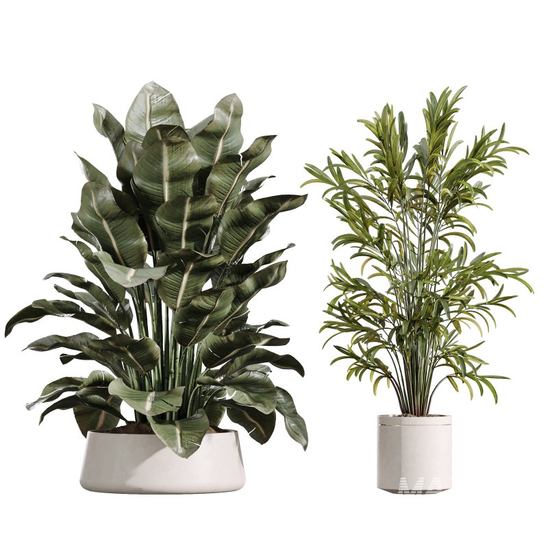 AV Indoor Plants Set 388 - Image 6