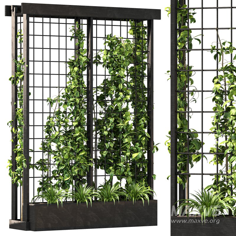 Vertical Garden Trellis 02 - Image 8