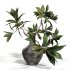 Green Branch in Vase - Thumbnail 5