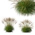 ntal grasses, designed for photorealistic landscape visualizations. - Thumbnail 8