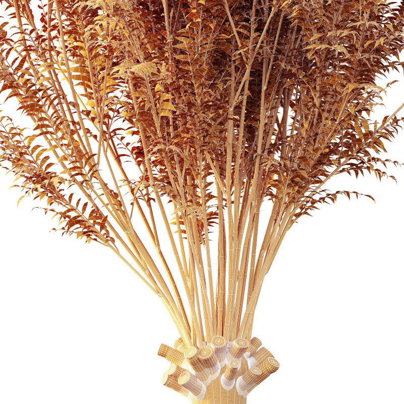 ntal compositions. - Image 9