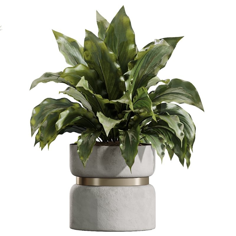 AV Indoor Plants Set 411 Spathiphyllum Lily Palm Ficus Lemon - Image 3