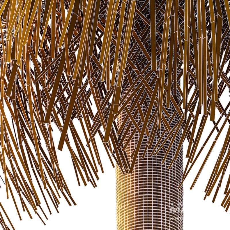 Palm Tree 01 - Image 5