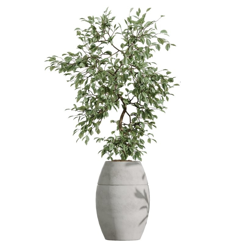 AV Indoor Plants Set 405 - Image 4