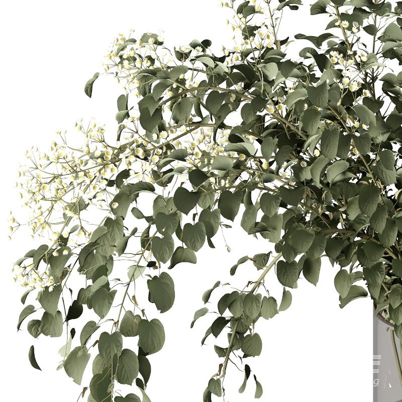 Bouquet R12 - Image 2