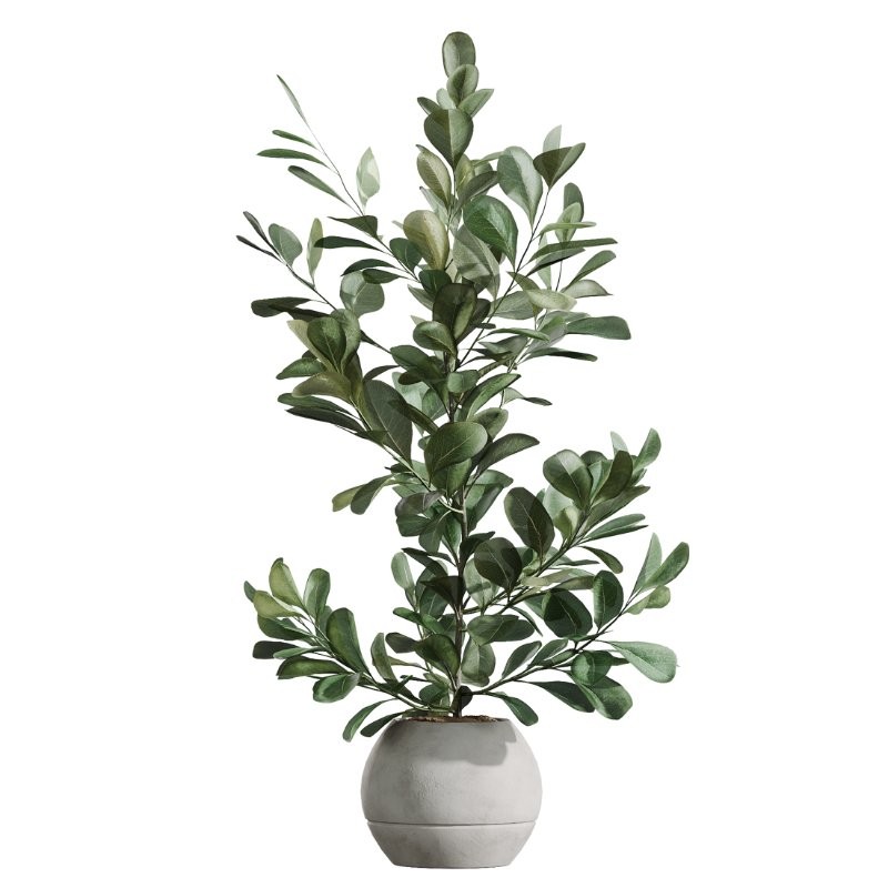 AV Indoor Plants Set 405 - Image 3