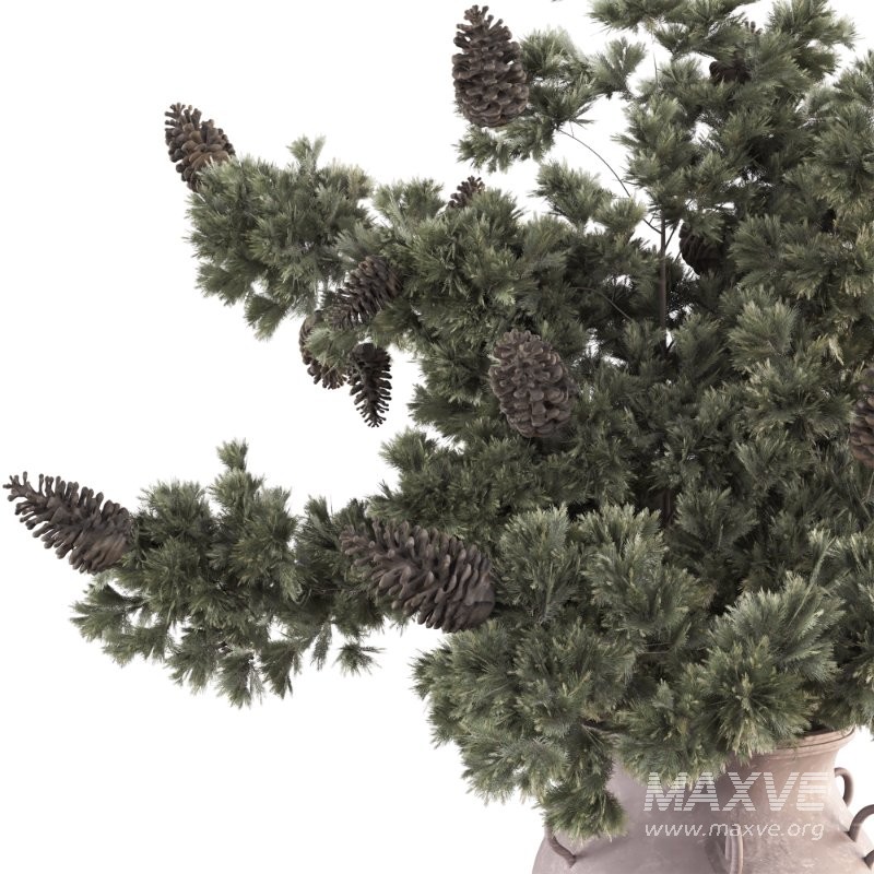 Bouquet of Pine Branches in Vase 47 - Image 3