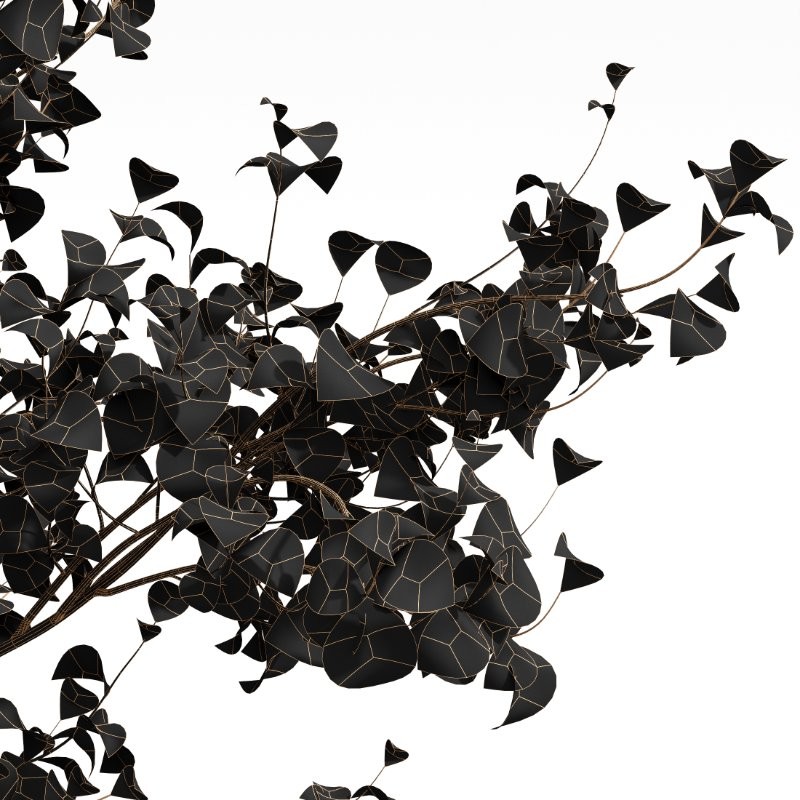 AV Acer Saccharinum and European Bladdernut Spring 2 Trees - Image 4