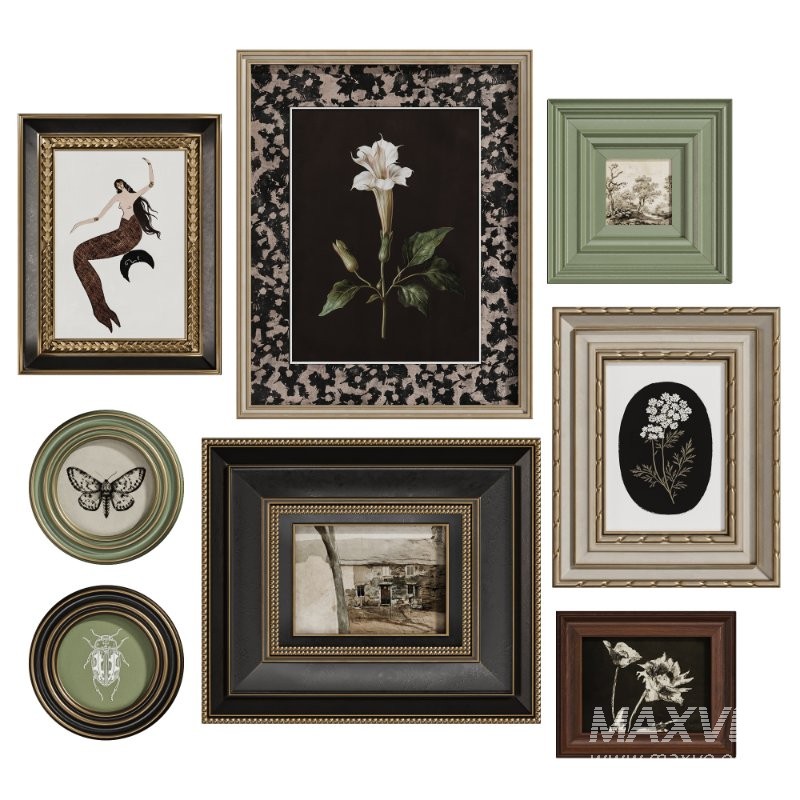 Vintage Curiosity Wall Set 002 - Image 1