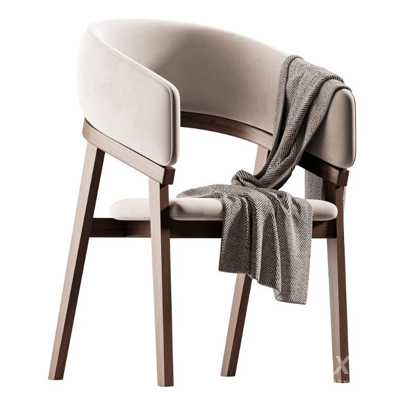 Modrest Truman – Mid-Century Modern Grey Walnut Dining Chair - Image 1