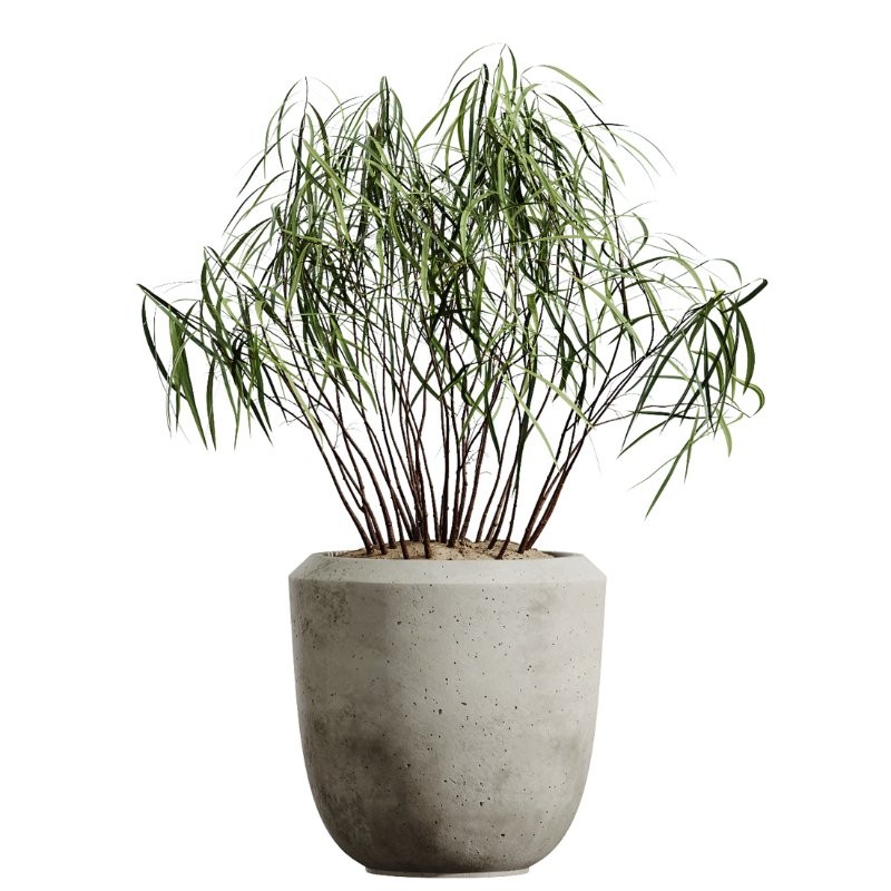ntal grass element adds movement and softness. Together, these plants form a curated arrangement ideal for luxury homes, boutique hotels, creative studios, lobbies, restaurants, and high-end staging. - Image 2