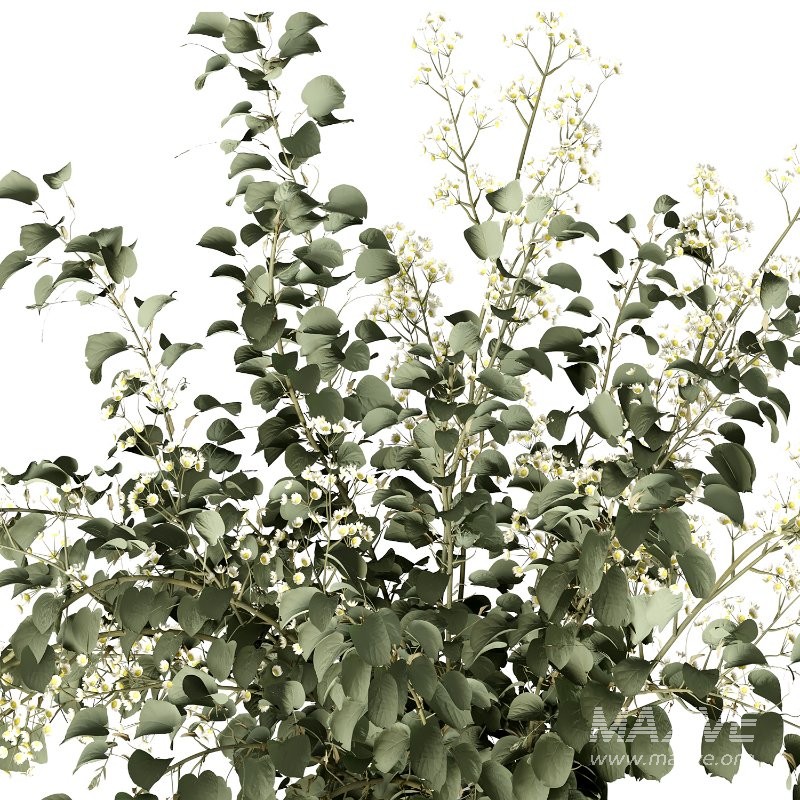 Bouquet R12 - Image 4