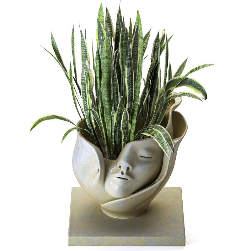 Concrete Pot Plant Set 06 - Image 4