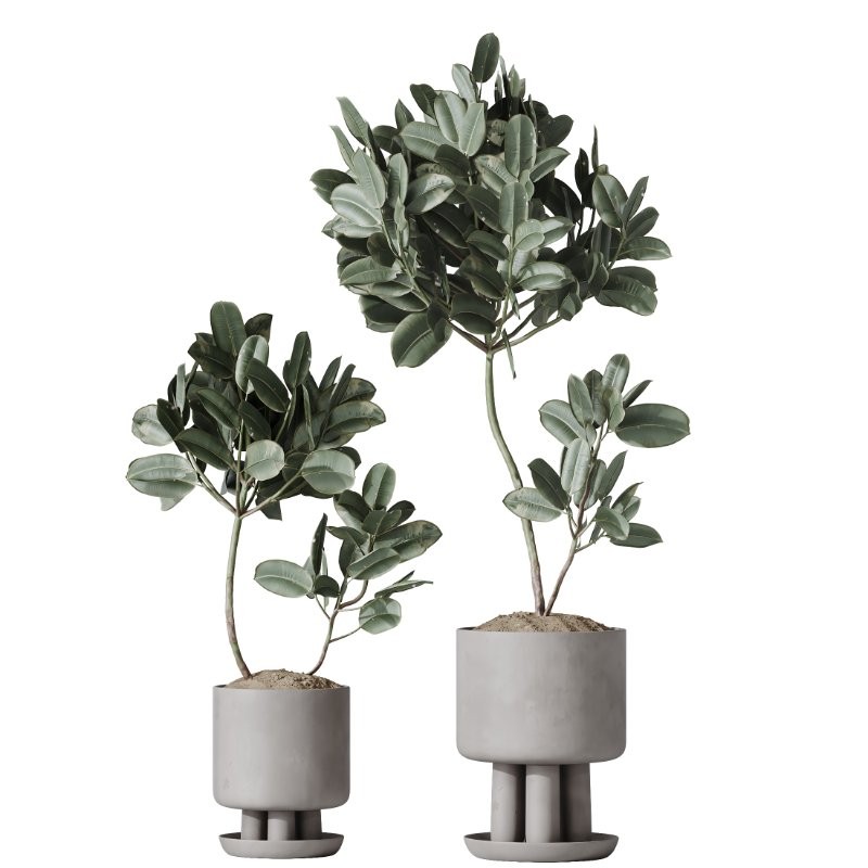 AV Indoor Plants Set 405 - Image 1