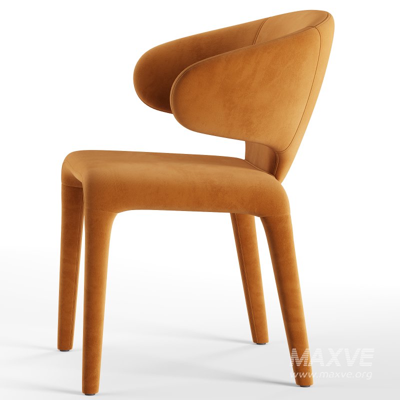 Debra Dining Chair - Image 7
