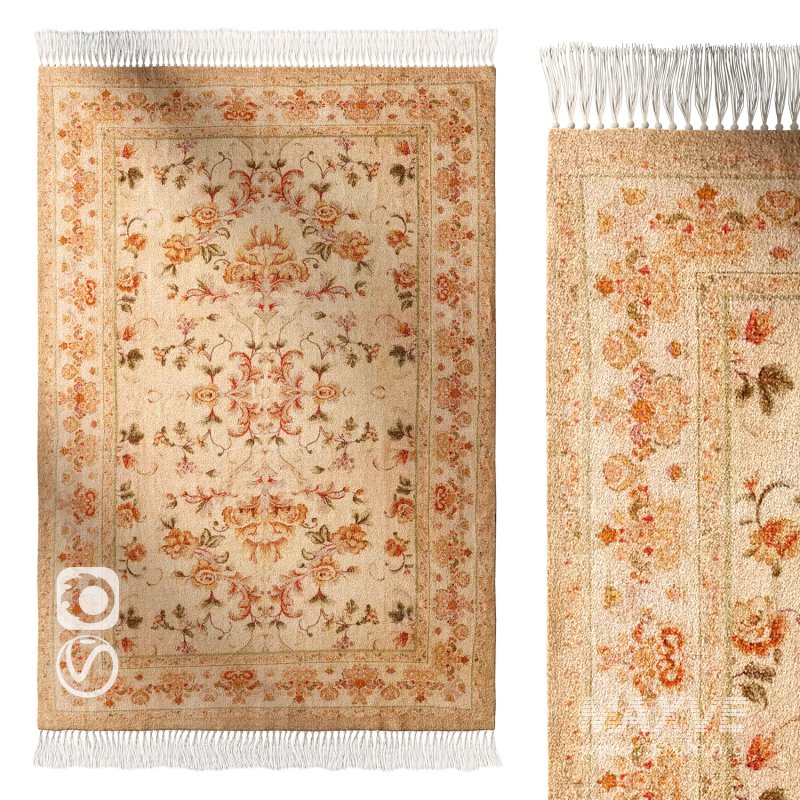 Rug - Image 1