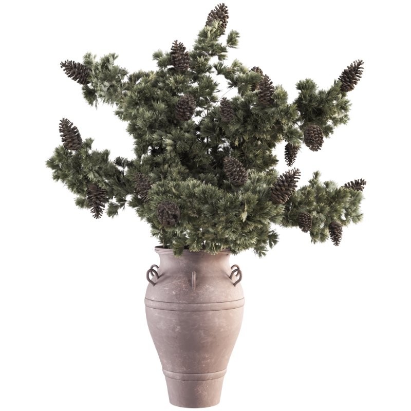 Bouquet of Pine Branches in Vase 47 - Image 2
