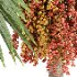 ntal palm fruits that make this species a striking centerpiece in any exterior visualization. - Thumbnail 1