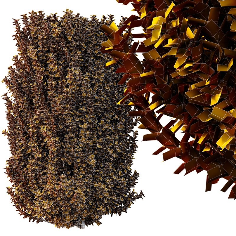 s vary widely among different species and between different English-speaking countries, but include spindle (or spindle tree), burning-bush, strawberry-bush, wahoo, wintercreeper, or simply euonymus. It has about 140 species of deciduous and evergreen shrubs, small trees and lianas. They are mostly native to East Asia, extending to the Himalayas, and they are also distributed in Europe, Australasia, North America, and Madagascar. Fifty species are endemic to China. - Image 5