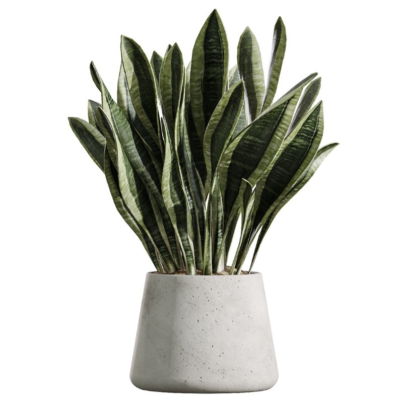 ntal grass element adds movement and softness. Together, these plants form a curated arrangement ideal for luxury homes, boutique hotels, creative studios, lobbies, restaurants, and high-end staging. - Image 3