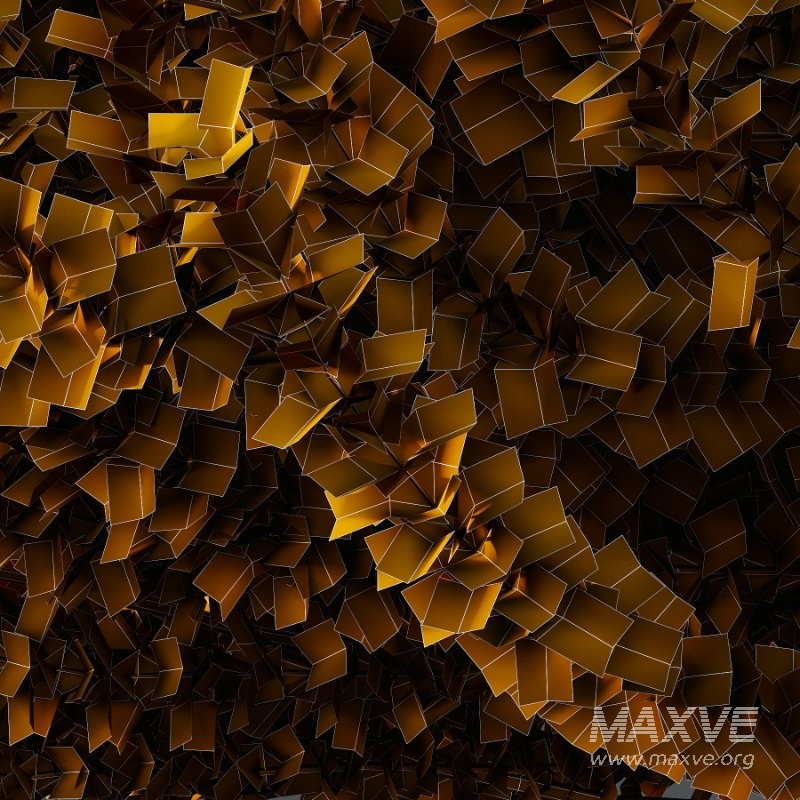 Frutices Fortescue Euonymus 05 - Image 3