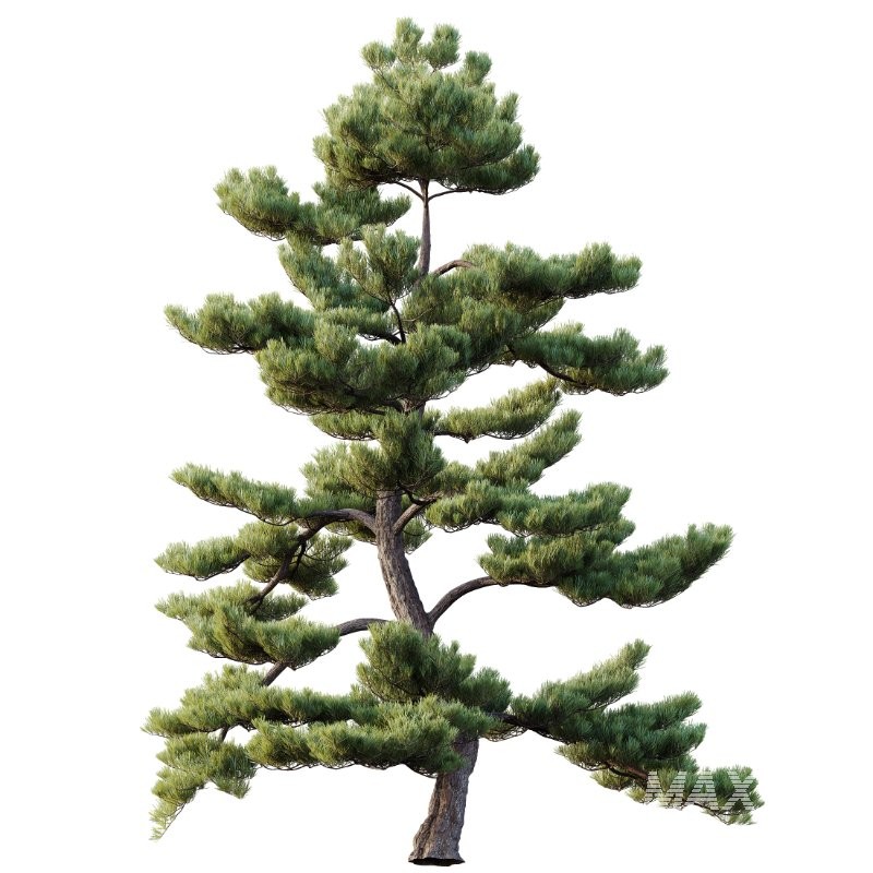 ntal composition. - Image 2