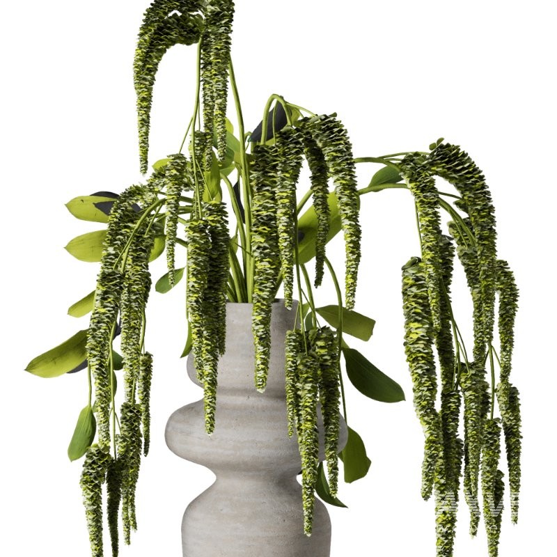 Bouquet set 56 - Image 4