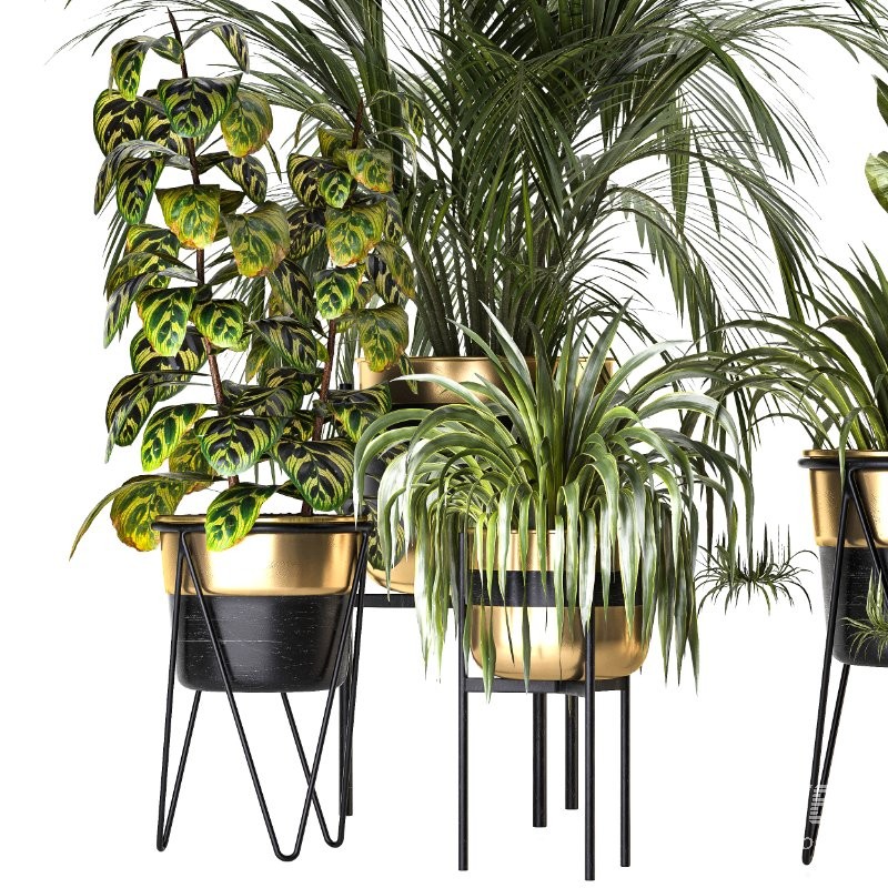 Metal Plant Set 08 - Image 3